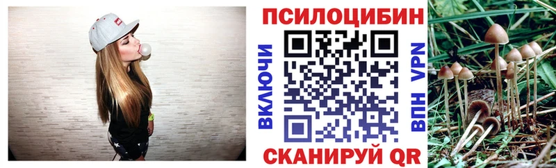 Галлюциногенные грибы GOLDEN TEACHER  дарнет шоп  Осташков 